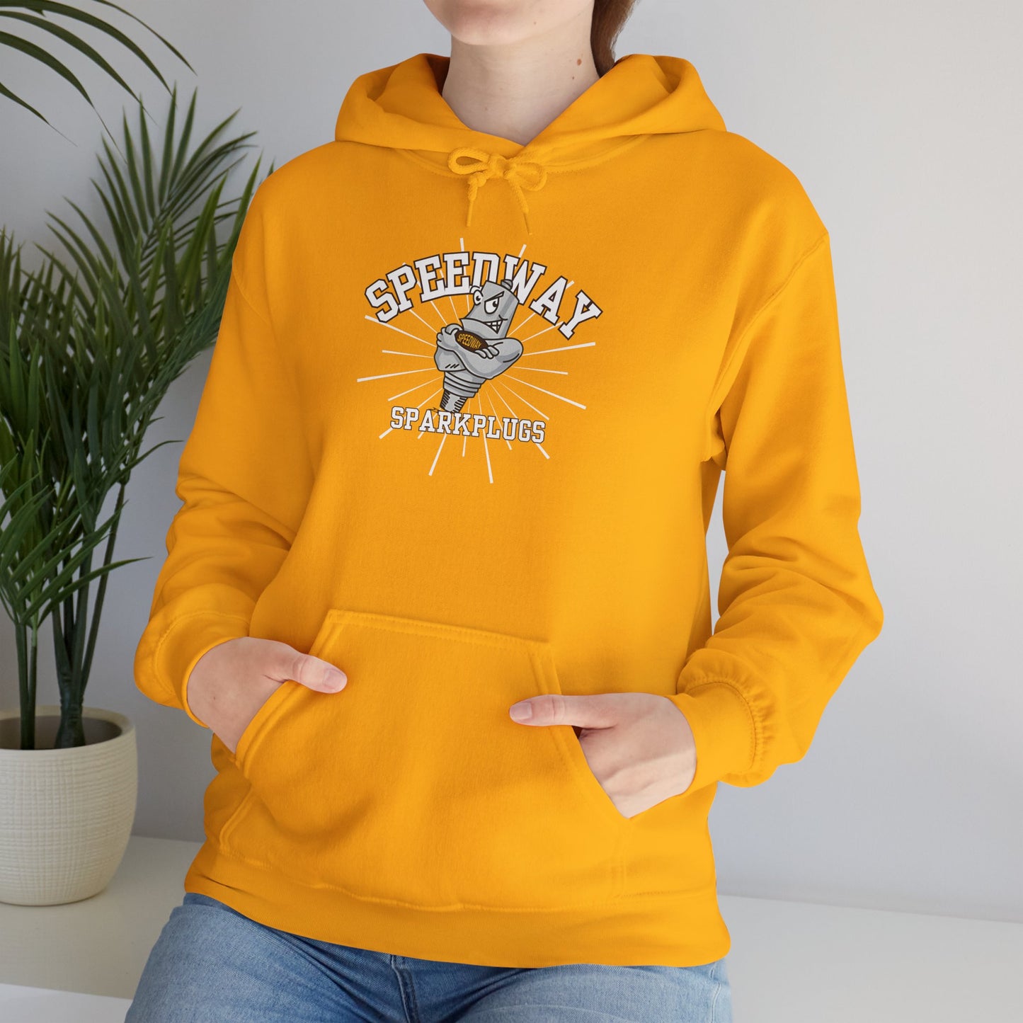 Speedway Vibes - Adult Heavy Blend Hooded Sweatshirt